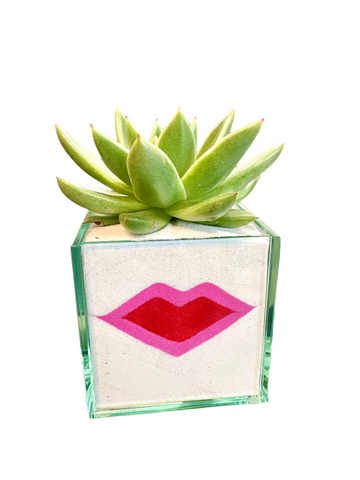 Lip Cube